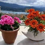 Elena Seaview House Apartamento Argostoli (Kefalonia)