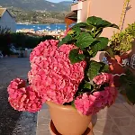 Elena Seaview House Apartamento