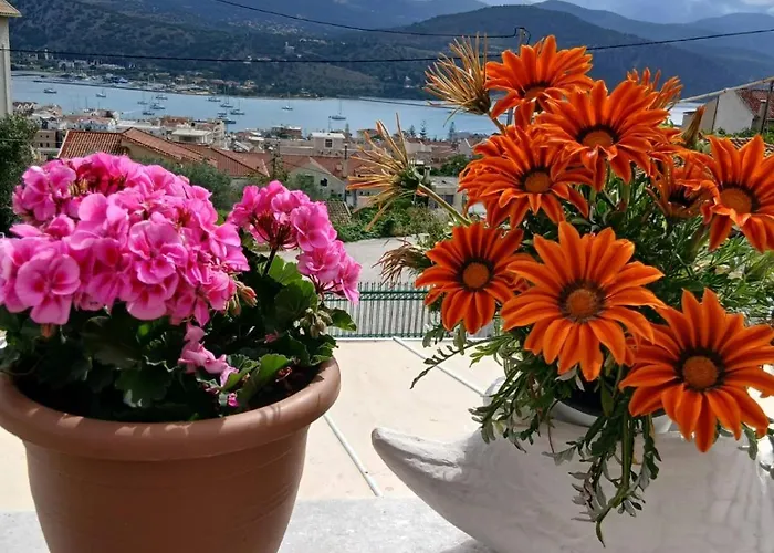 Elena Seaview House Appartamento Argostoli (Kefalonia)