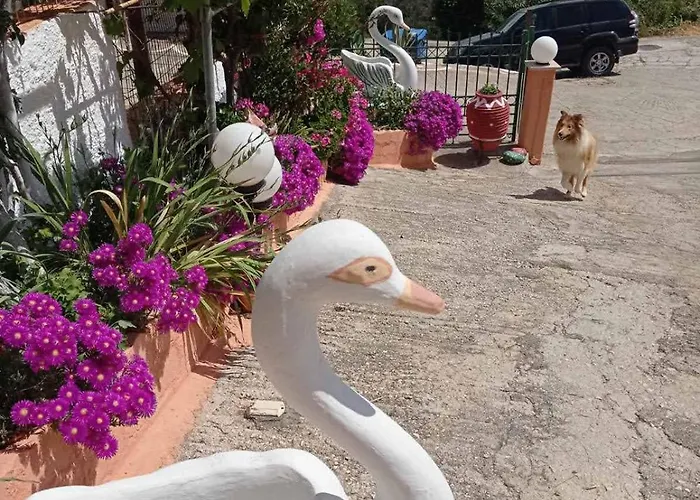 Elena Seaview House Appartamento Argostoli (Kefalonia)