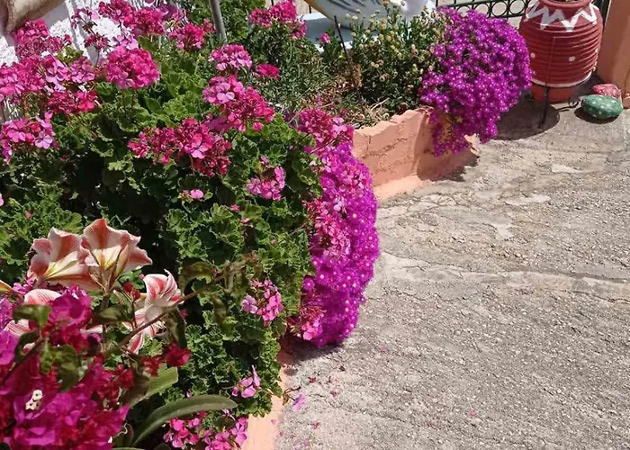 Appartamento Elena Seaview House