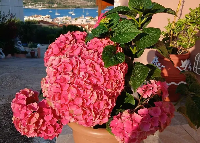 Elena Seaview House Appartamento