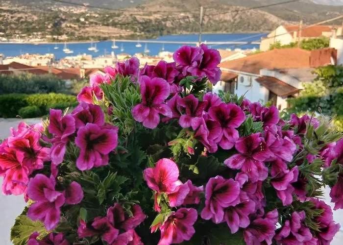 Elena Seaview House Appartamento *