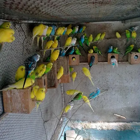 Lägenhet Elena Seaview House