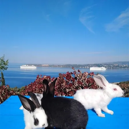 Elena Seaview House Argostoli (Kefalonia)