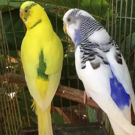 Lägenhet Elena Seaview House *