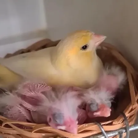 Elena Seaview House Lägenhet