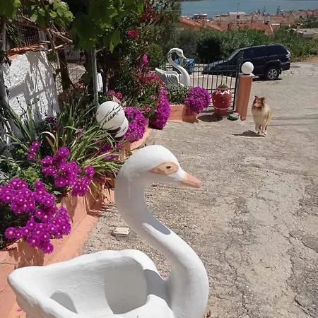 Elena Seaview House Apartament Argostoli (Kefalonia)