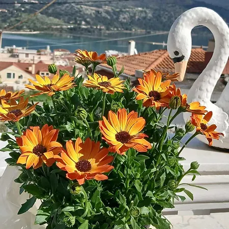 Elena Seaview House Lägenhet *