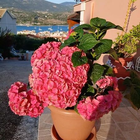 Elena Seaview House Lägenhet