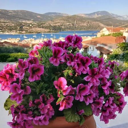 Elena Seaview House Lägenhet *