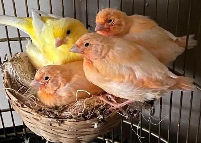 Elena Seaview House Αργοστόλι