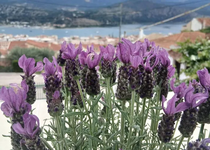 Διαμέρισμα Elena Seaview House Αργοστόλι