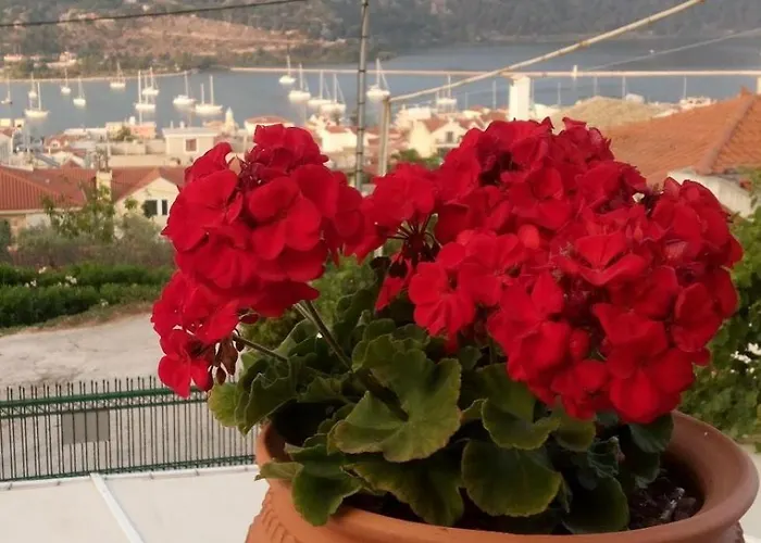 Elena Seaview House Αργοστόλι