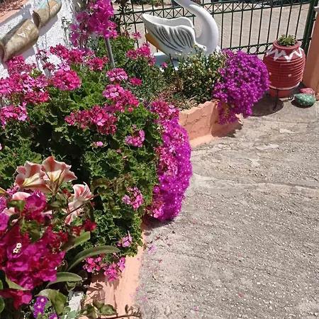 Апартаменты Elena Seaview House